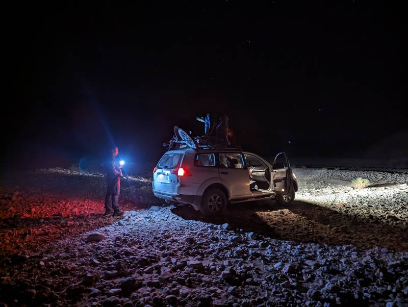 Little Donkey loaded onto rescue vehicle