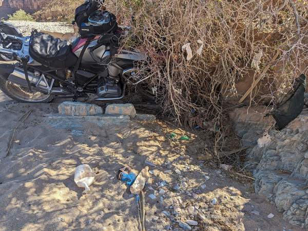 Bike buried in a prickly bush